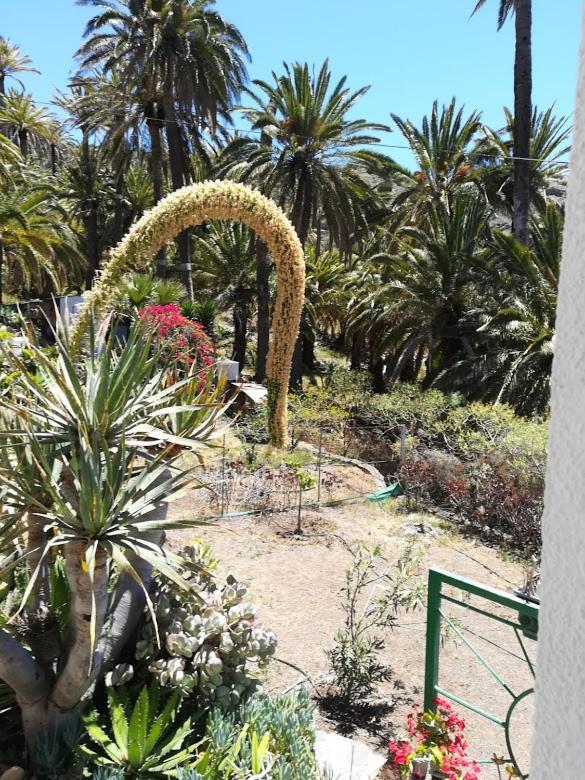 Casa Majores Vallehermoso Eksteriør bilde
